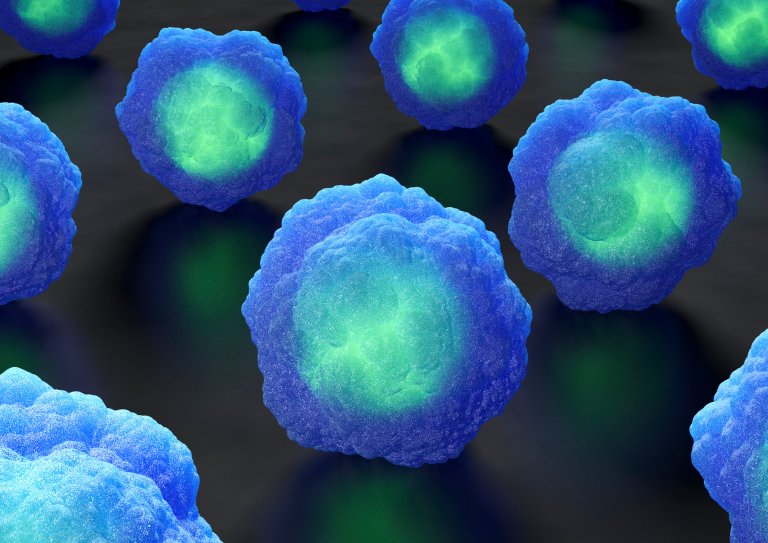 medicine stem cells cellular biology
