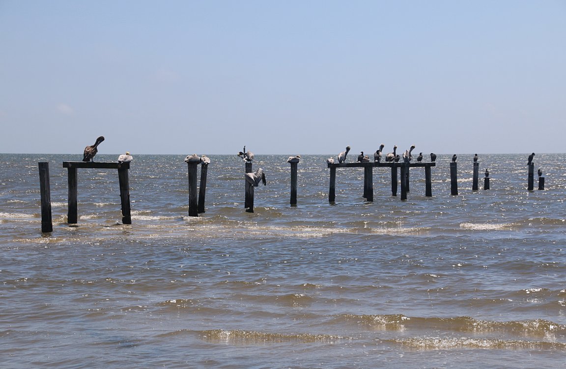 climate change wetlands louisiana coast