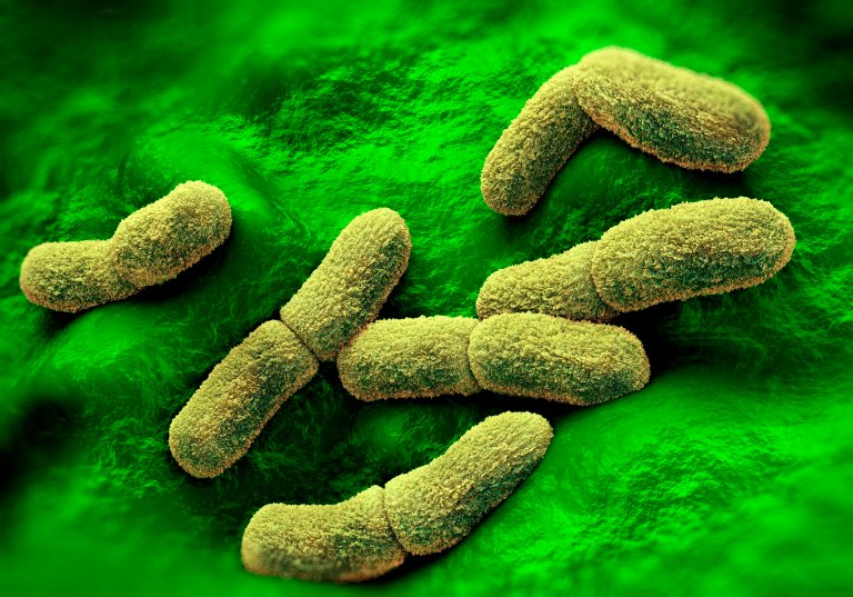 Researchers Created an Entirely New Weapon to Defeat Disease