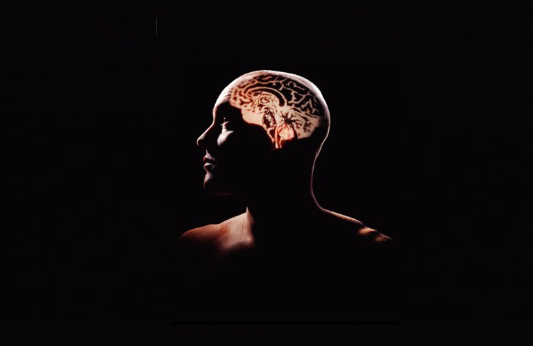 New Research Shows How ”Fear Memories” Alter the Mind