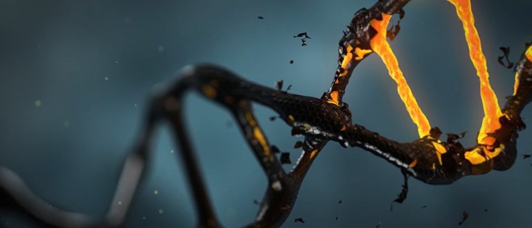 Billions of Dollars Are Being Spent to Perfect the Engineering of Life