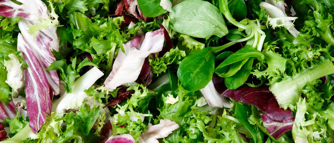robots salad sally silicon valley startup