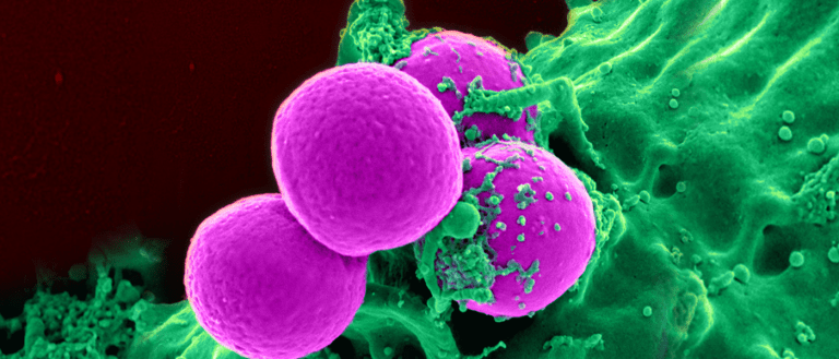 Scientists Found a Way to Use Nature to Kill Superbugs