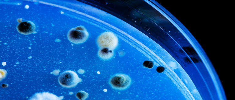 A New “CRISPR Pill” Makes Bacteria Destroy Its Own DNA