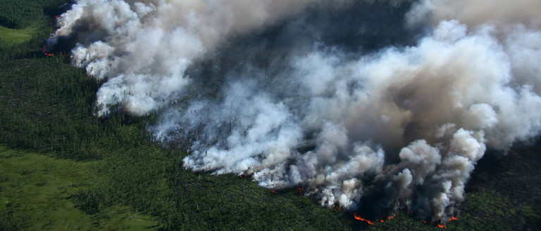 2017 Is Set to Be the Hottest Year in Recorded History
