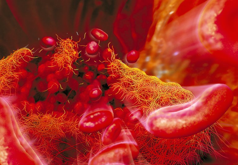 3d printing synthetic organs regenerative medicine