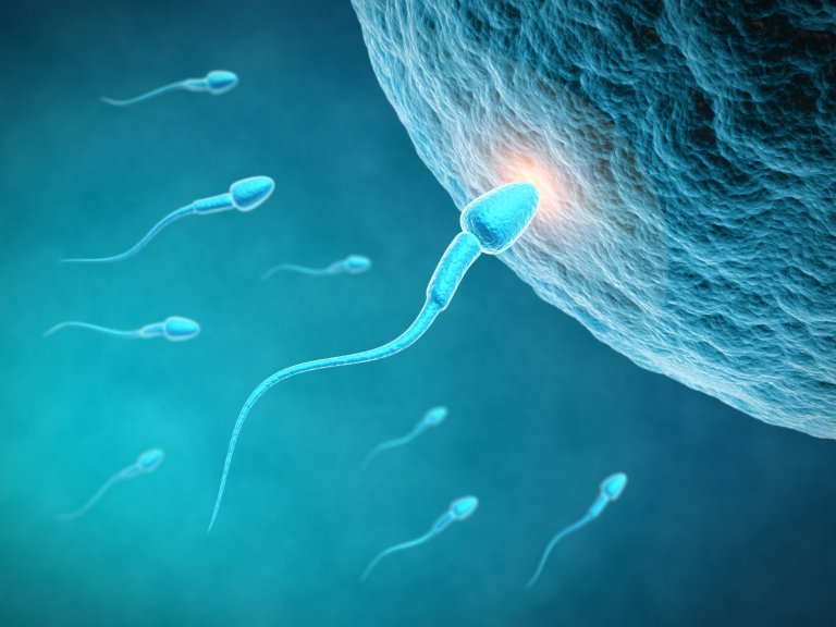 A New Birth Control Method Protects Against Both HIV and Pregnancy