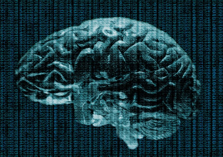 DARPA Is Planning to Hack the Human Brain to Let Us “Upload” Skills