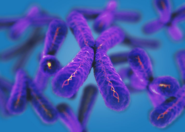 Ending Aging: Scientists Say Telomeres May Be the Key to Unlocking Near-Immortality