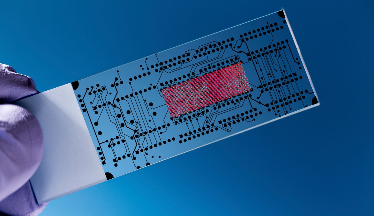 material science solar cells technology