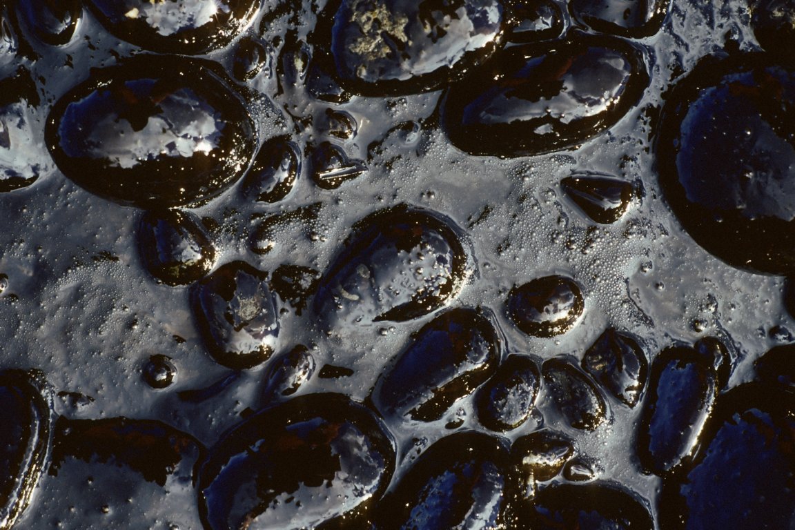 dakota access pipeline oil leak renewables