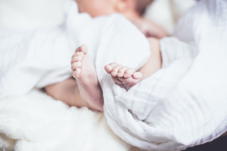 In-Womb Project Reveals Striking Images of Developing Human Brains