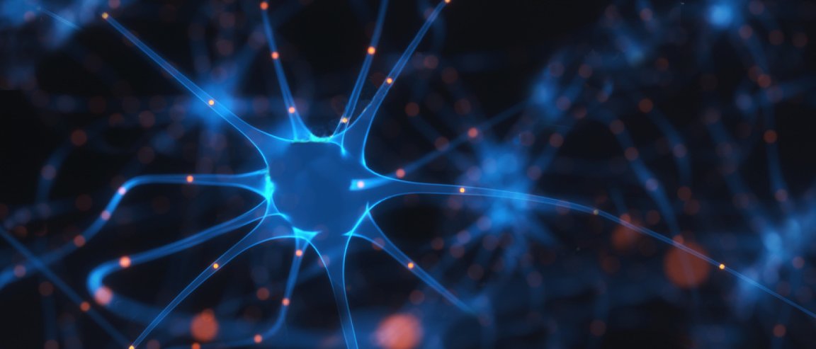 bci eeg facebook elonmusk security privacy