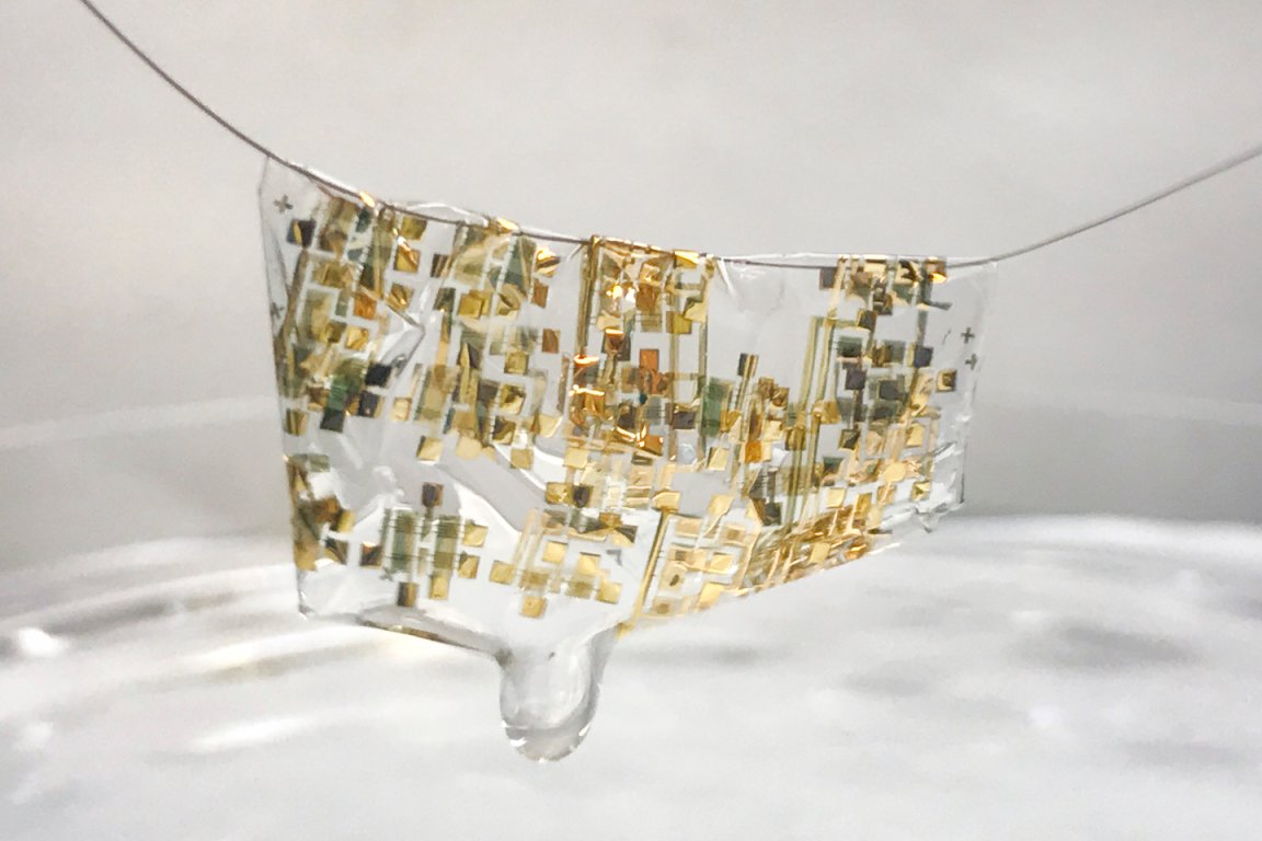 biodegradable wearable biodegradable electronics dissolving electronics electronic waste
