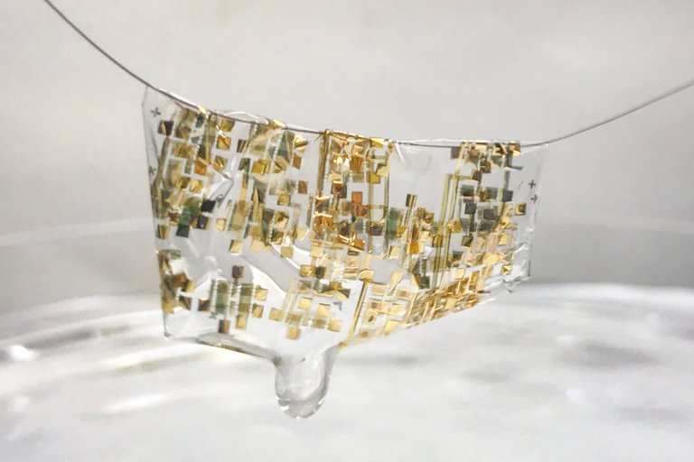 biodegradable wearable biodegradable electronics dissolving electronics electronic waste