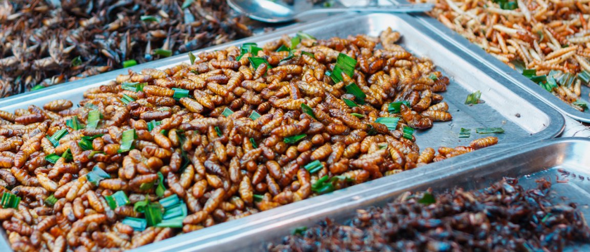 beef global warming insect farm u.n study