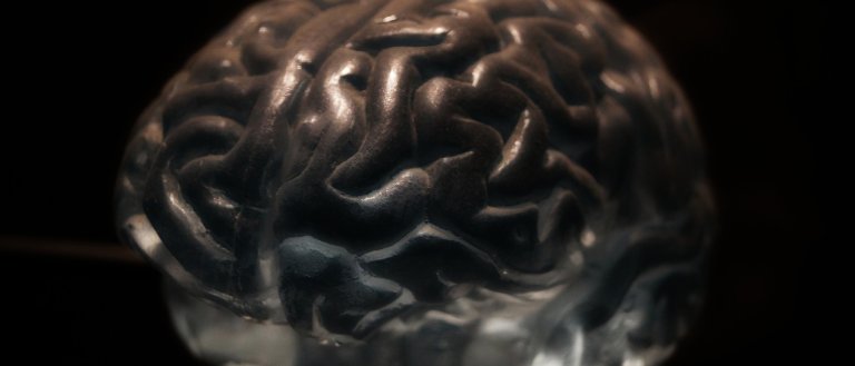 You Have the Power to Physically Reshape Your Brain