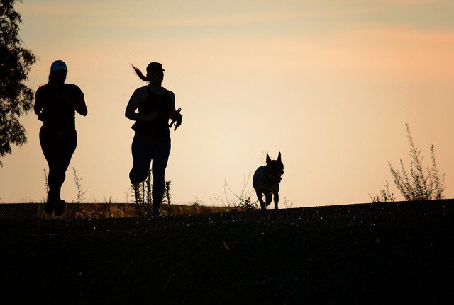 Image credit: Eric Sonstroem/Flickr