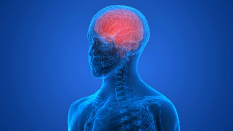 Researchers Provide the First Evidence That a New Kind of Paralysis Treatment Is Effective