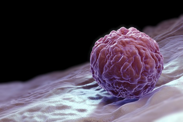 stem cells brain death transcranial laser device neuroscience