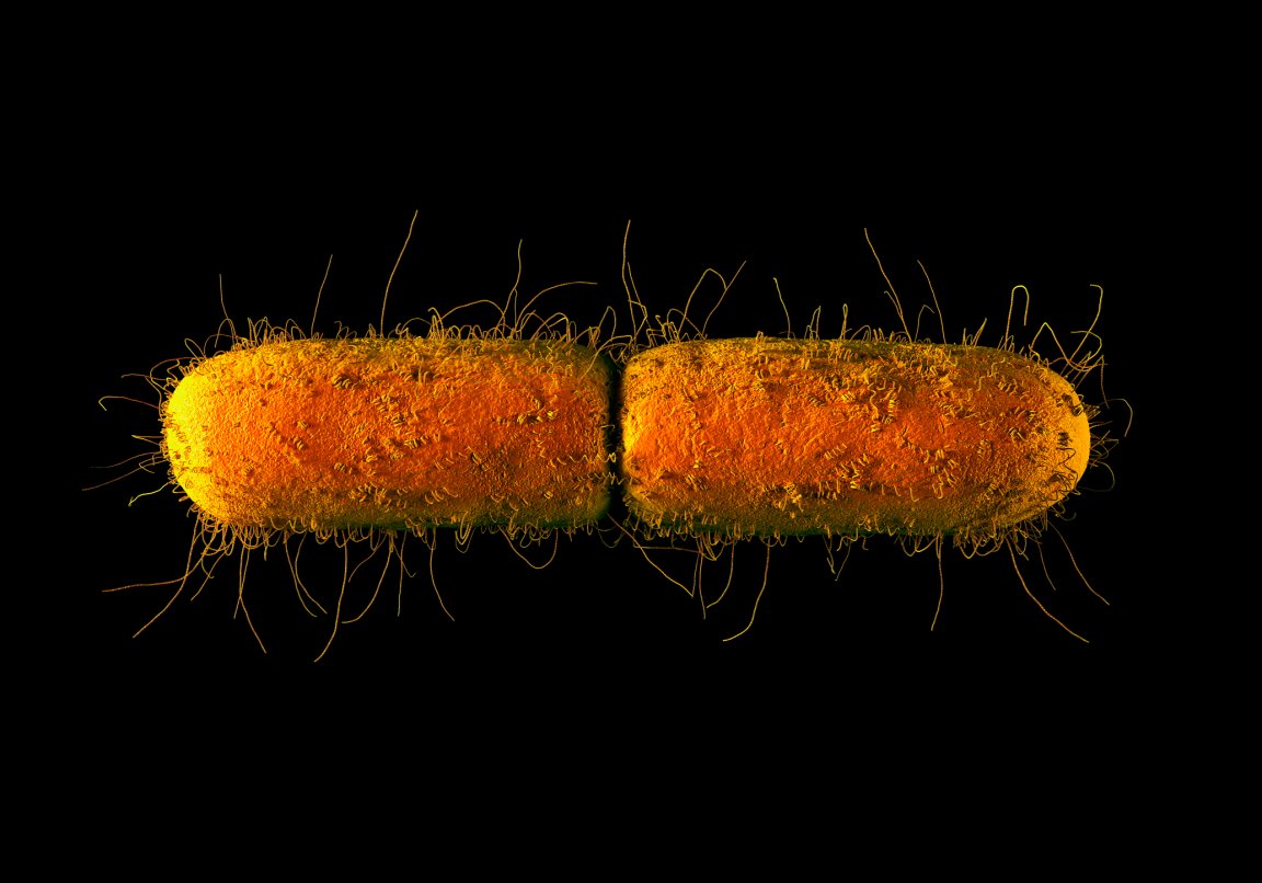 space bacteria mutation astronaut