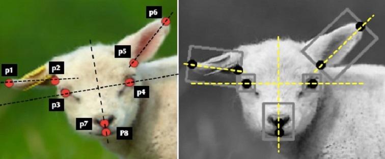 Image credit: University of Cambridge