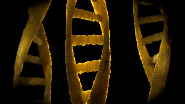 We Can Now Build Biomolecules From Computer Code — No Humans Necessary