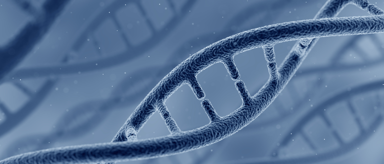 Scientists Capture DNA Replication On Video for the First Time. Here’s What it Revealed.
