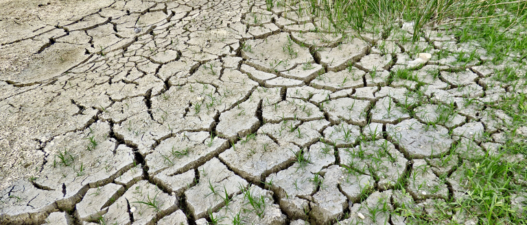 Last Month Was the Second Hottest May in Recorded History