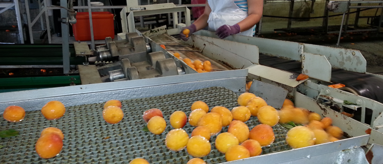 The Solution to Automation in the Workforce Could Be Retraining