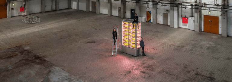 Vertical Farming Is Officially Coming to Grocery Stores