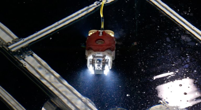 Toshiba Has Unveiled a Swimming Robot to Assist in the Fukushima Cleanup