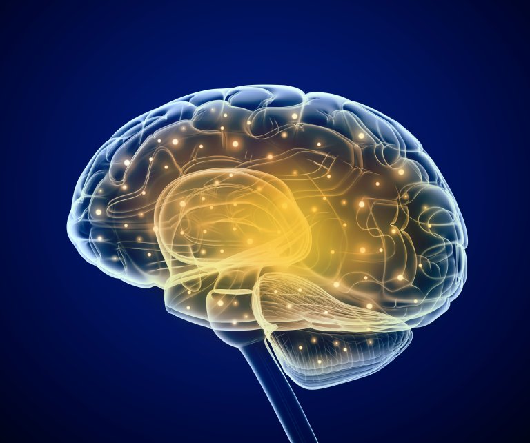 New Study Reveals That The Brains of People With Depression Look Different