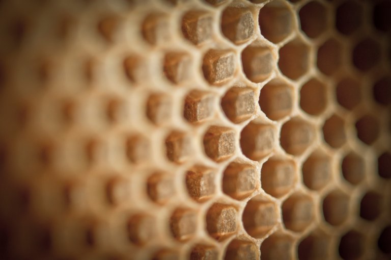 Blockchain Could Be the Answer to Stopping Climate Change