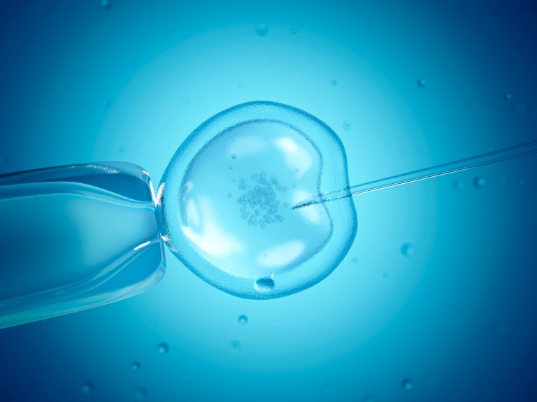 Scientists Just Successfully Edited the First Human Embryo Ever in The U.S.