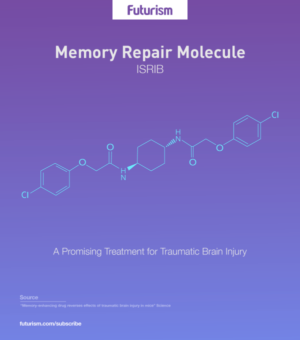 *4* New Compound Reverses the Effects of Traumatic Brain Injury in Mice