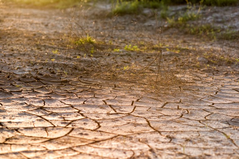 Study Shows Earth is Already in a Dire Warming Crisis