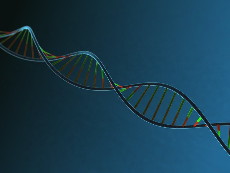 New Study Shows That Only About 25% Of Our DNA is Functional
