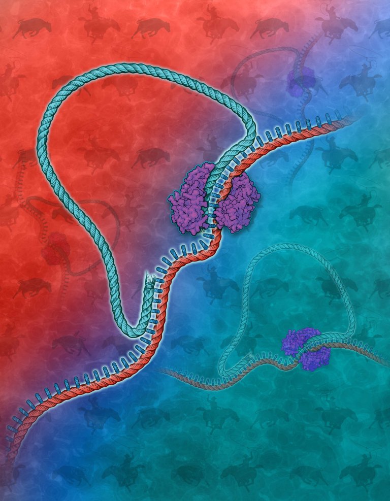 Powerful New Cloning Technique Can Clone Thousands of Genes at Once