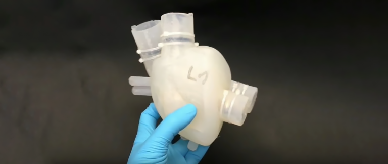 This 3D-Printed Human Heart Can Do Everything a Real One Can