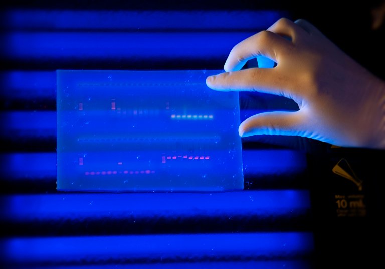 Here’s Everything You Need to Know About the Recent Human Gene Editing Trial in the US