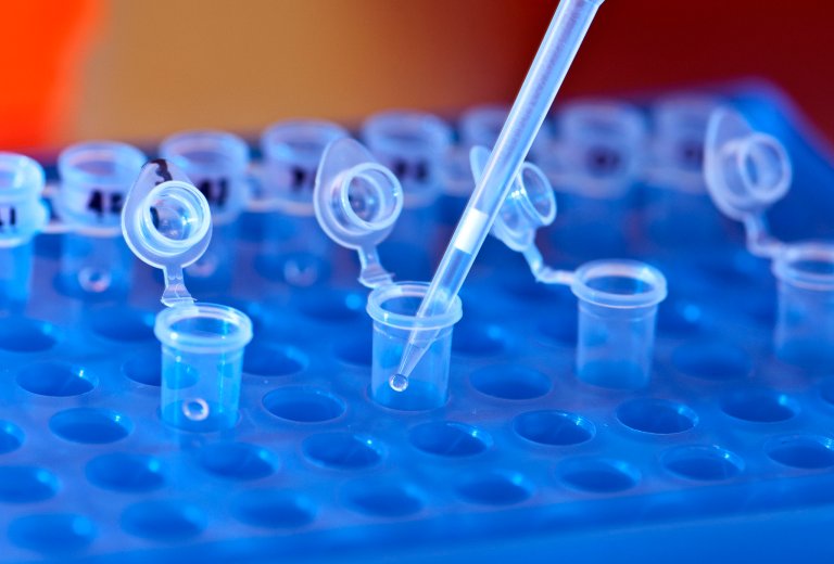 11 Incredible Things CRISPR Has Helped Us Achieve in 2017