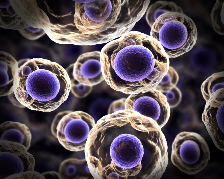 liquid biopsy cancer blood tests throat cancer