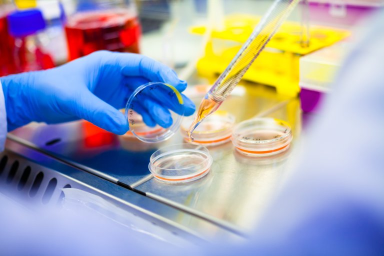 We Just Figured out How to Activate Stem Cells to Treat Baldness