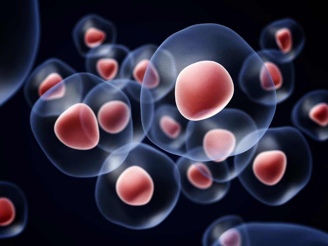 stem cells implants type 1 diabetes pec-direct