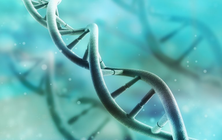 A New Gene Editing Technique Could Finally Allow Us to Treat ALS