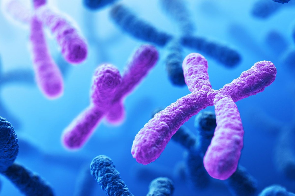Image Credit: Darryl Leja/NHGRI
