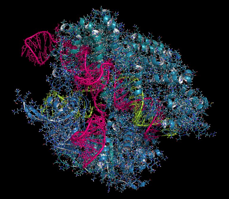 Expert Argues That Gene Editing Will Widen Economic Class Gap