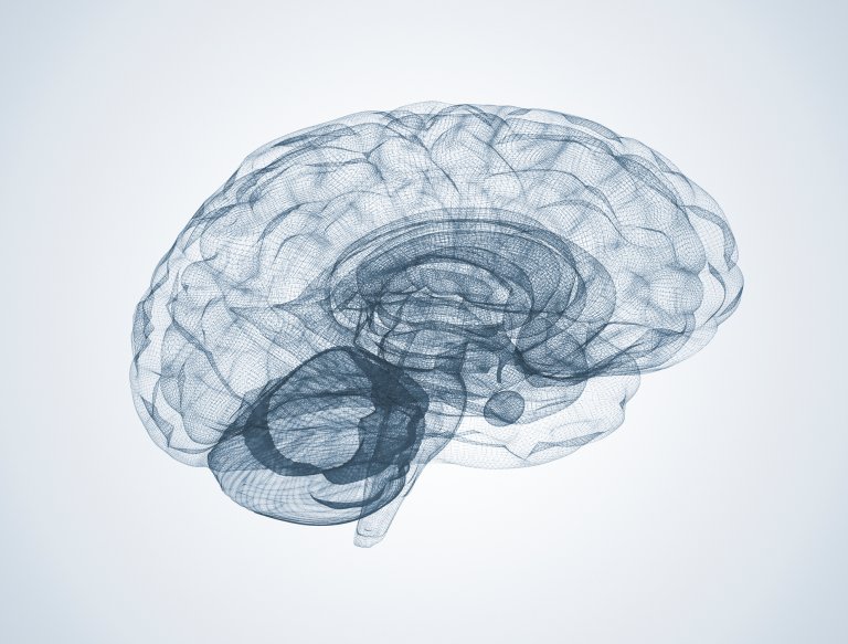 intelligence genes intelligence enhancement nature vs nurture