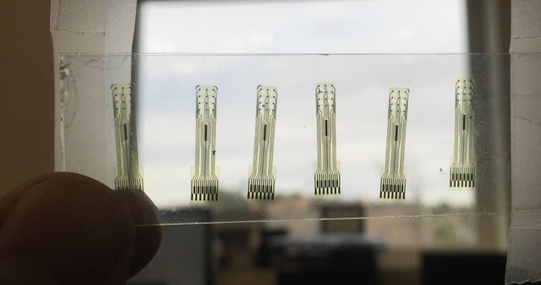 brain-computer interface spinal cord injury neural signal processing